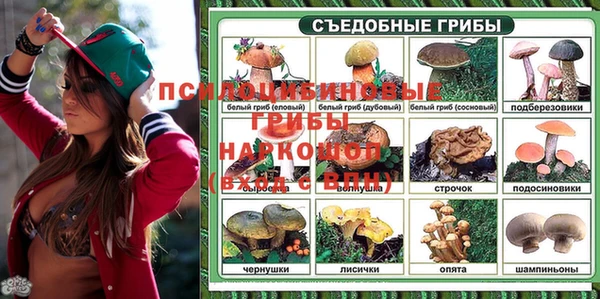 прущий лед Козельск