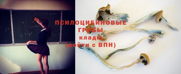 мдма Киреевск
