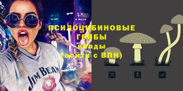 MDMA Козловка