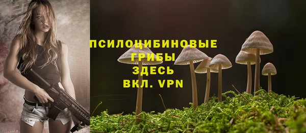 мдма Киреевск
