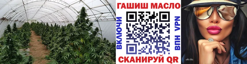 Дистиллят ТГК гашишное масло  Уржум 