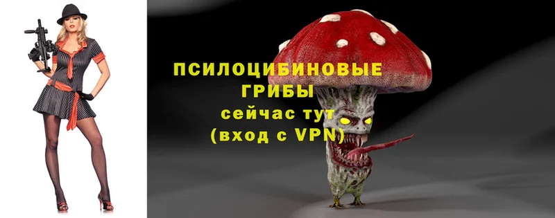 продажа наркотиков  Уржум  Галлюциногенные грибы Magic Shrooms 