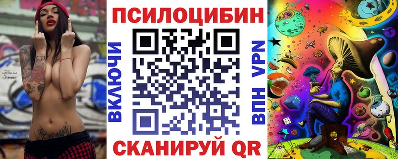 kraken онион  купить закладку  Уржум  Галлюциногенные грибы Psilocybe 